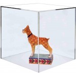 Marketing Holders Acrylic Jewelry Display Box Cube 5 W x 5 H x 5 D Toys Trinkets Collectible Items Safety Dust Cover Square 5 Sided Showcase Art Easel Pedestal Display - B6REFJ52A