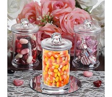 TABLECLOTHSFACTORY 12 Pack 6oz Clear Plastic Candy Beverage Disposable Favor Jar Container with Clear Lid for Wedding Party Event - B026T4ACK