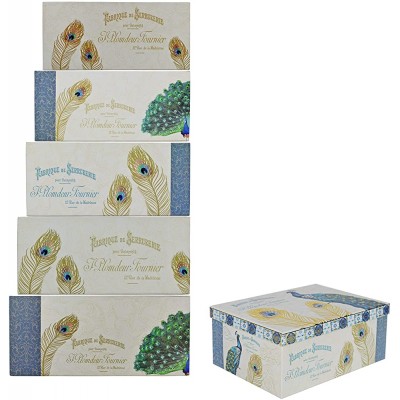 ALEF Elegant Peacock Decorative Themed Extra Large Nesting Gift Boxes -6 Boxes- Nesting Boxes Beautifully Themed and Decorated Perfect for Gifts or Simple Decoration Around The House! - B7PZENMPF