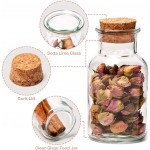 EZOWare 5oz Spice Jars 20 Bottle Clear Glass Canister Set with Cork Lid Round Decorative Reusable Vial Storage Containers for Herbs Teas Seasonings Party Favors Candy 150ml - B3LVWU9L7