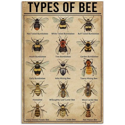 Types of Bee Retro Nostalgic Art Print Poster Tin Sign Cafe Bar Metal Sign Garage Plaque 8x12 Inches - B46B5A1PX