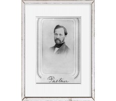 INFINITE PHOTOGRAPHS Photo: Louis Pasteur,1822-1895,French Chemist,Microbiologist - BV8ETDKNI