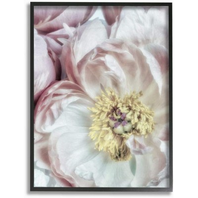 Stupell Industries Soft Flower Bloom Neutral Pink White Photograph Design by Dianne Poinski Wall Art 11 x 14 Black Framed - B6566QXH2