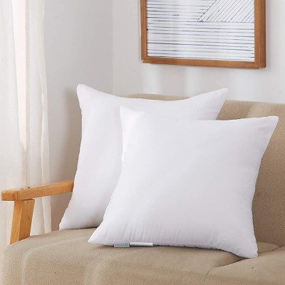 Acanva Throw Pillow Inserts Soft Couch Stuffer Hypoallergenic Polyester Square Form Washable Cushion Euro Sham Filler 20''-2P White 2 Count - BNXT9UCB8