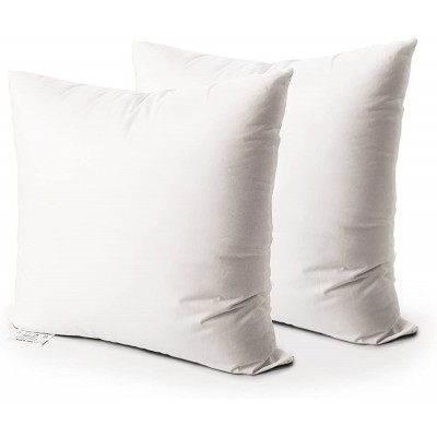 Edow Throw Pillow Insert Set of 2 Down Alternative Polyester Square Form Decorative Pillow Cushion,Sham Stuffer. White 18x18 - BEWMB73E6