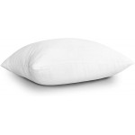 EDOW Throw Pillow Inserts Set of 4 Lightweight Down Alternative Polyester Pillow Couch Cushion Sham Stuffer Machine Washable. White 18x18 - B4ZFFFROE