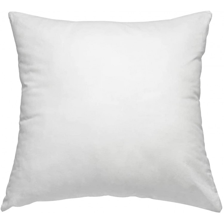 Made in USA 26X26 Square Sham Pillow Insert for Sofa Throw and Decoration Pillow 26x26 - B9570EWPJ