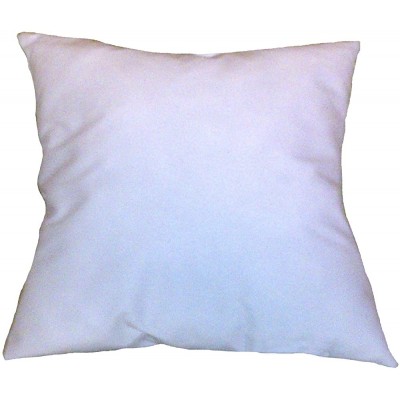 ReynosoHomeDecor 10x10 Square Pillow Insert Form - B2IBIEV5U