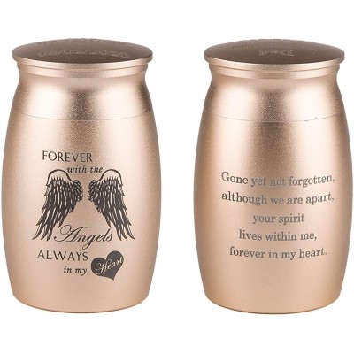 Bivei Personalized Small Urn for Human Ashes Waterproof Cremation Decorative Keepsake Memorial Funeral Gift Mini Ashes Holder with Angel Wings2.8 inch-Golden - BE2AVQH27